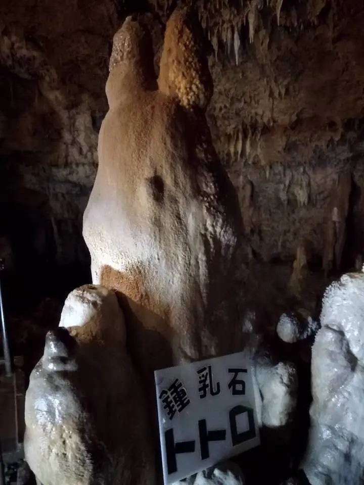 40_Stalactite_Totoro