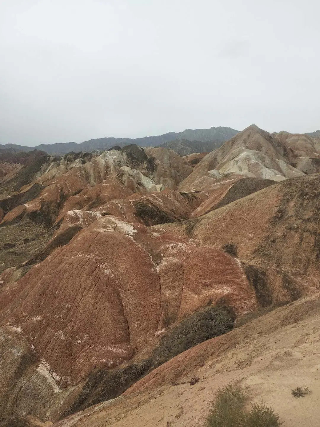 zhangye080
